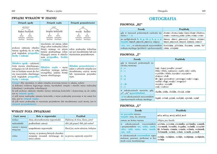Tablice: język polski. Literatura polska, wiedza o literaturze, wiedza o języku