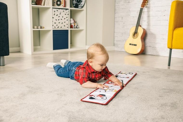 Tiny Love, Tiny Rockers, dwustronna książeczka interaktywna