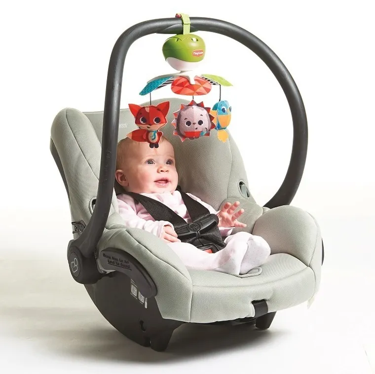 Tiny Love, Zabawa na łące, karuzela podróżna