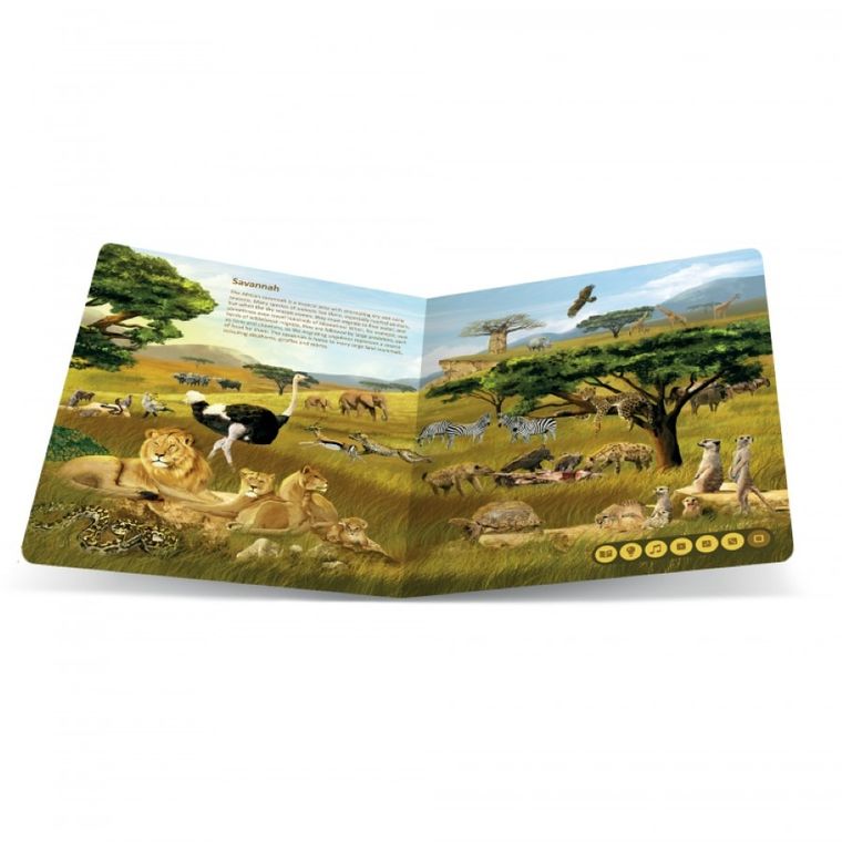 Tolki Book. Animal Kingdomss. Interactive talking book. Wersja angielska