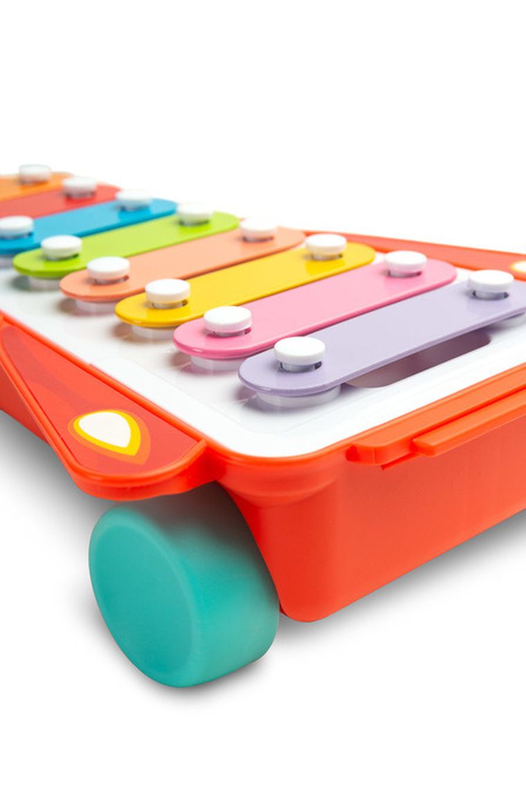 Toyz, Tęczowe cymbałki, zabawka edukacyjna