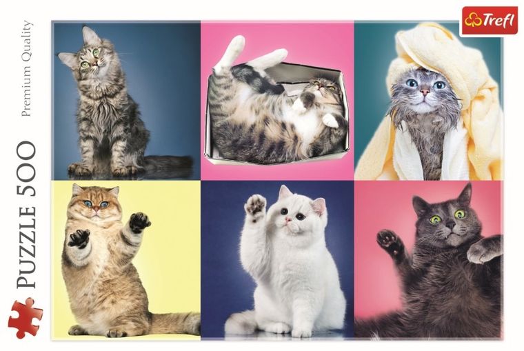 Trefl, Kociaki, puzzle 500 elementów