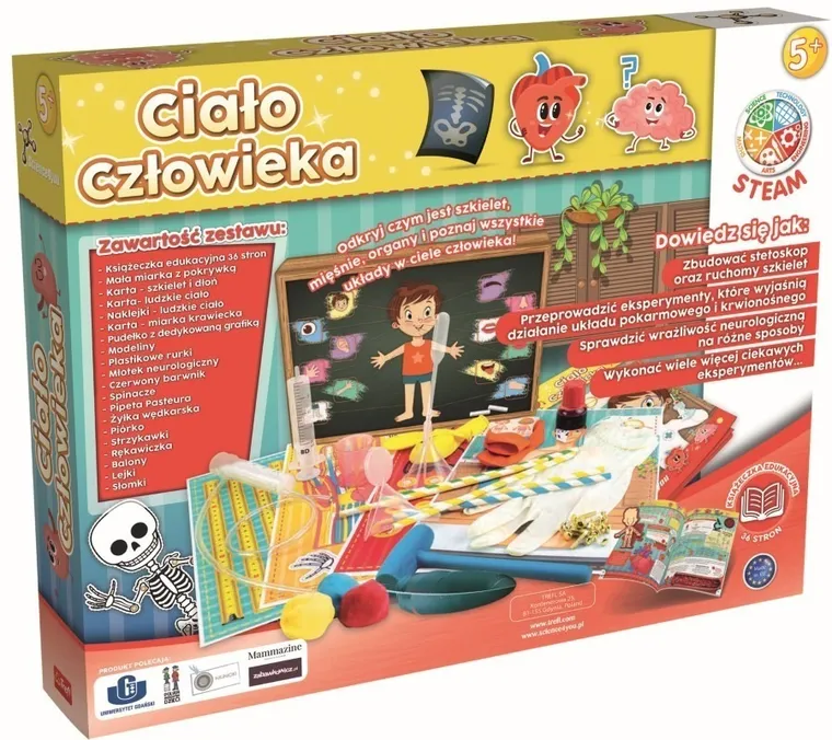 Trefl, Science4You, Ciało człowieka, duży zestaw naukowy