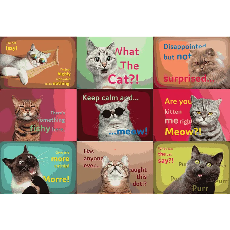 Trefl, Zabawne kocie portrety, puzzle, 1500 elementów