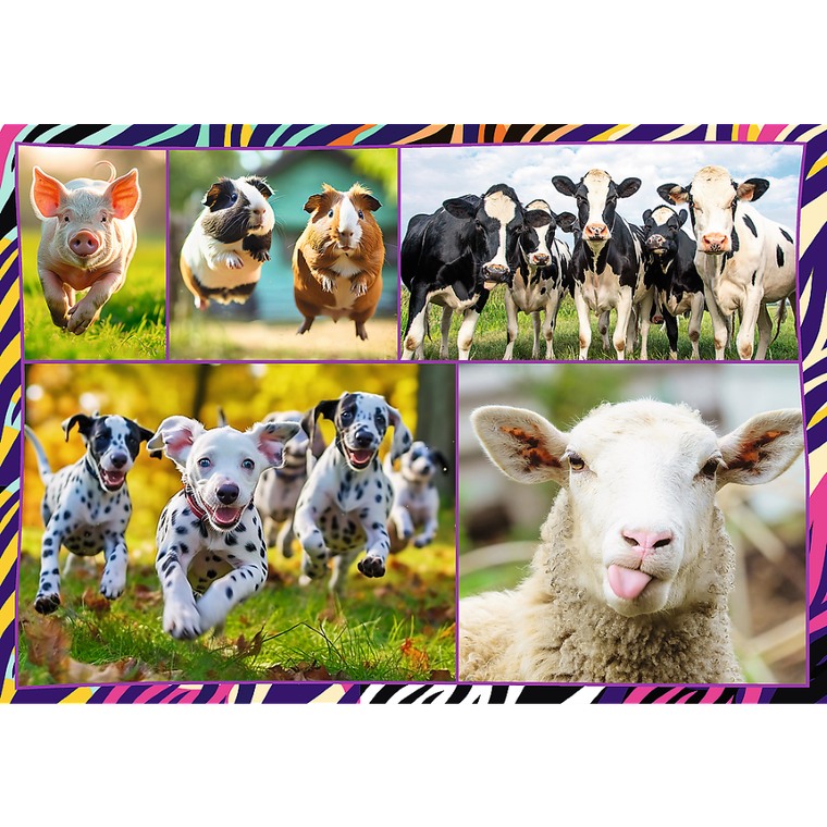 Trefl, Zabawne zwierzaki, puzzle, 4-250 elementów