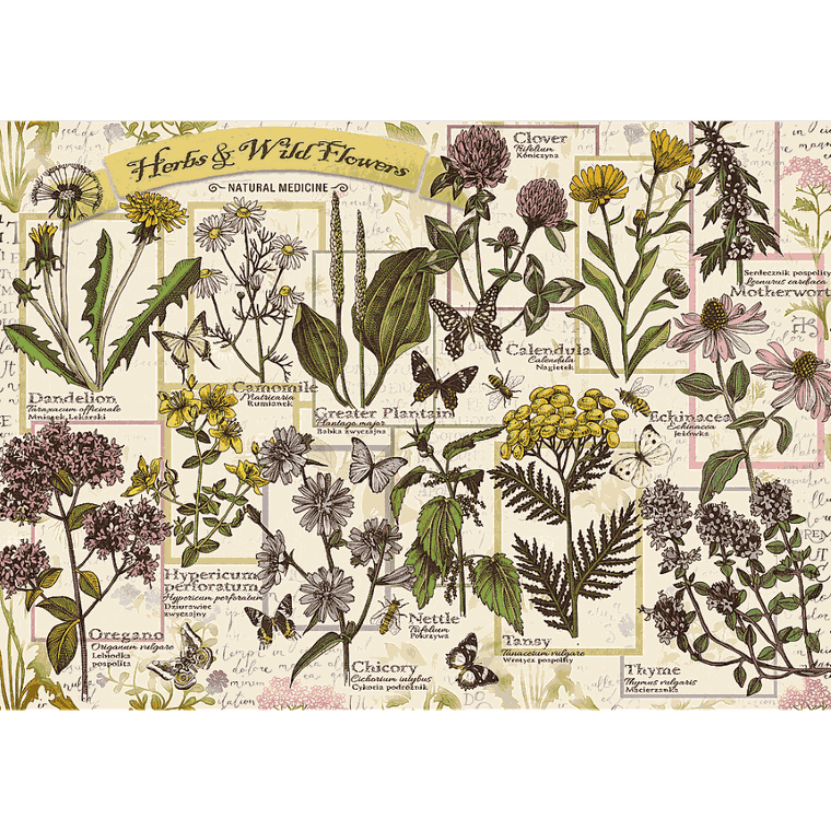 Trefl, Zielnik: Zioła lecznicze, 500 elementów