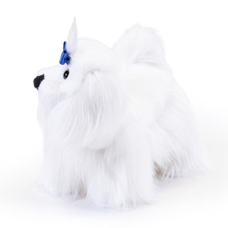 Trudi, maskotka, maltańczyk, M