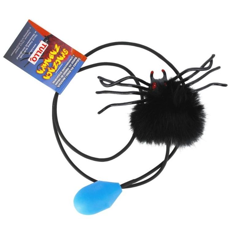 Tullo, skaczący pająk, czarny