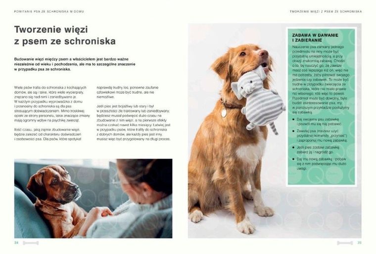 Twój pies ze schroniska