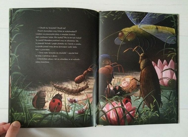 Tyczka w Krainie Szczęścia