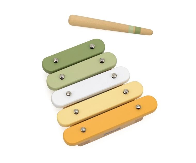 Viga, PolarB, zestaw instrumentów muzycznch, ptak