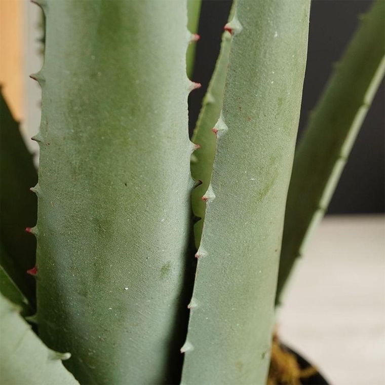 Vilde, sztuczna roślina w doniczce, Aloes, 42 cm