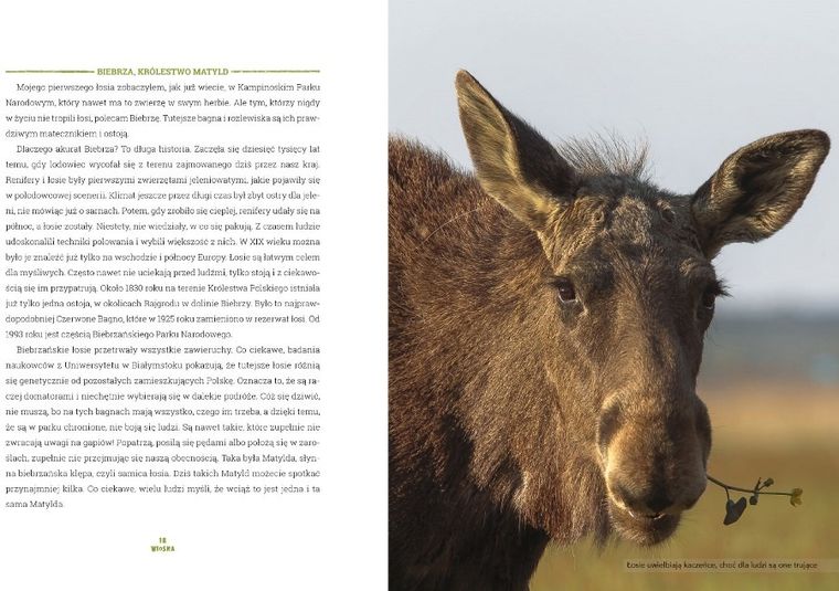 Wielka Księga Prawdziwych Tropicieli