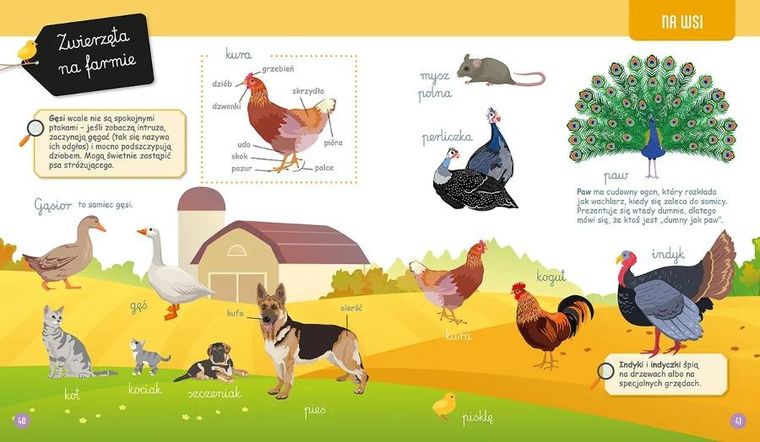 Wielka księga przyrody