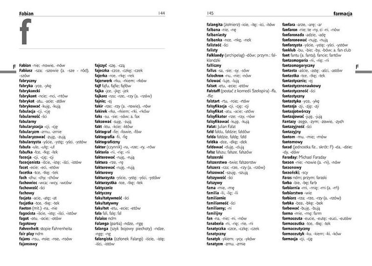 Wielki słownik ortograficzny