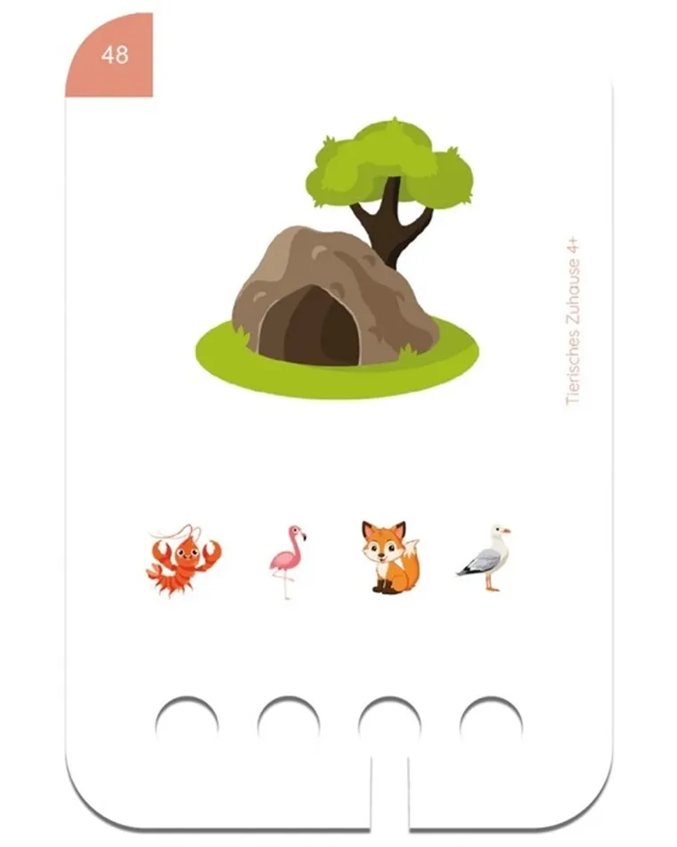 WiemTo, Gdzie Mieszkają Zwierzęta, karty edukacyjne, 4+