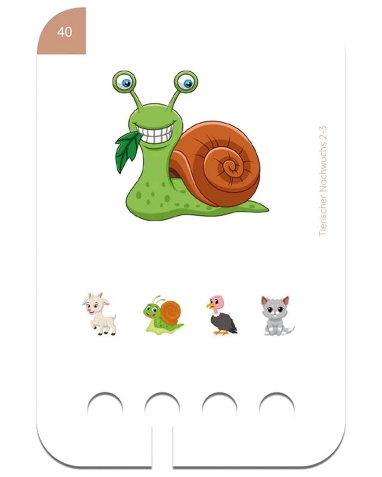 WiemTo, Zwierzęta i ich Dzieci, karty edukacyjne, 2-3 latka