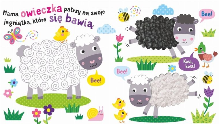 Wieś. Sensoksiążka