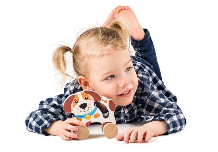 Woodyland, drewniany pies na kółkach