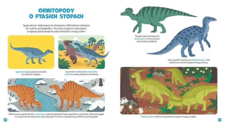 Wspaniałe dinozaury. Zakręć, odkryj, przeczytaj!