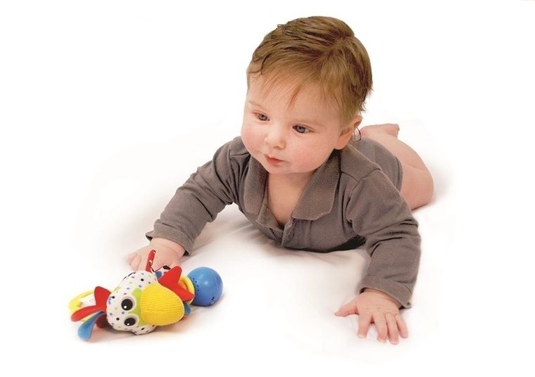 Yookidoo, Kogut, muzyczna grzechotka