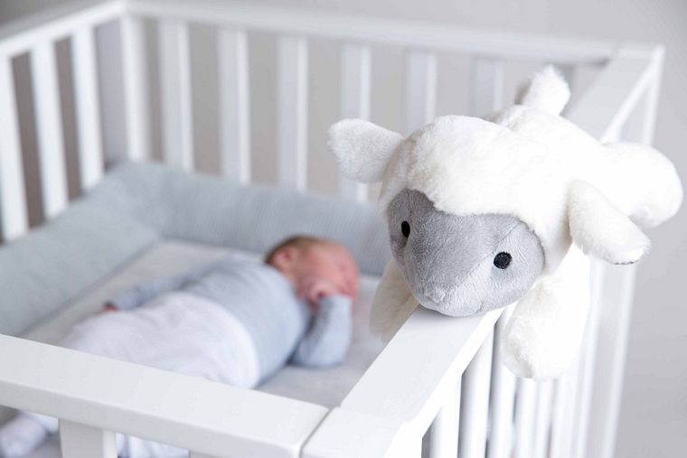 Zazu Liz, Przytulanka usypianka z bijącym sercem