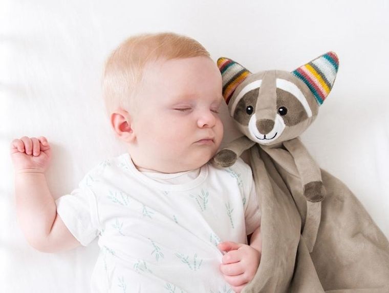 Zazu, Szop Robin, szumiąca maskotka