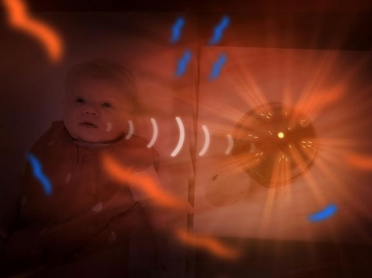 Zazu, Tim, projektor zachodzącego słońca, żółw