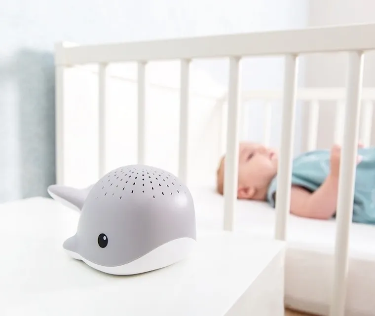 Zazu, Wally, Wieloryb, projektor, szary