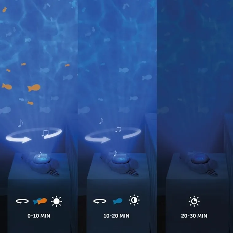 Zazu, Wydra Otto, projektor oceanu