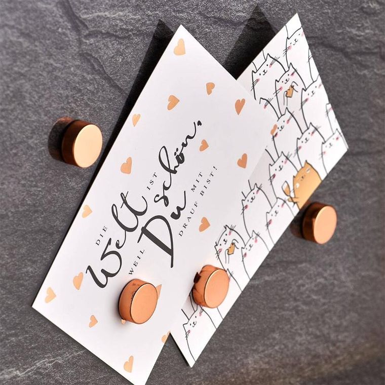 Zeller, komplet magnesów, 4 szt., ø 2,3 cm