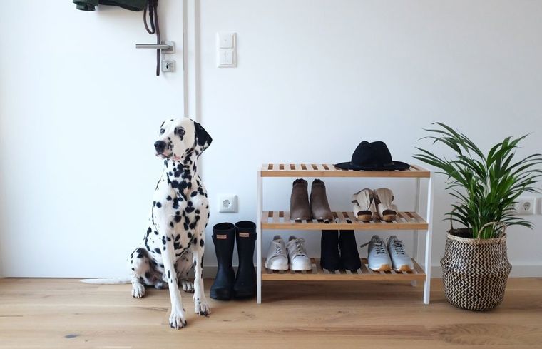 Zeller, szafka na buty, odkryty stojak z włókna bambusowego