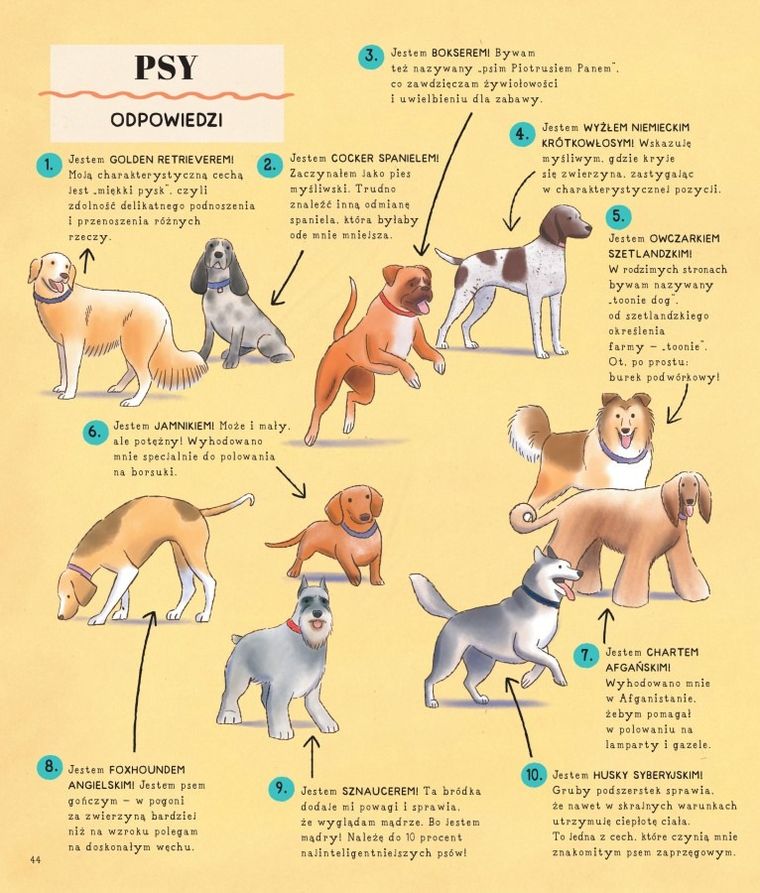 Zgadnij. Nazwij. Połącz!