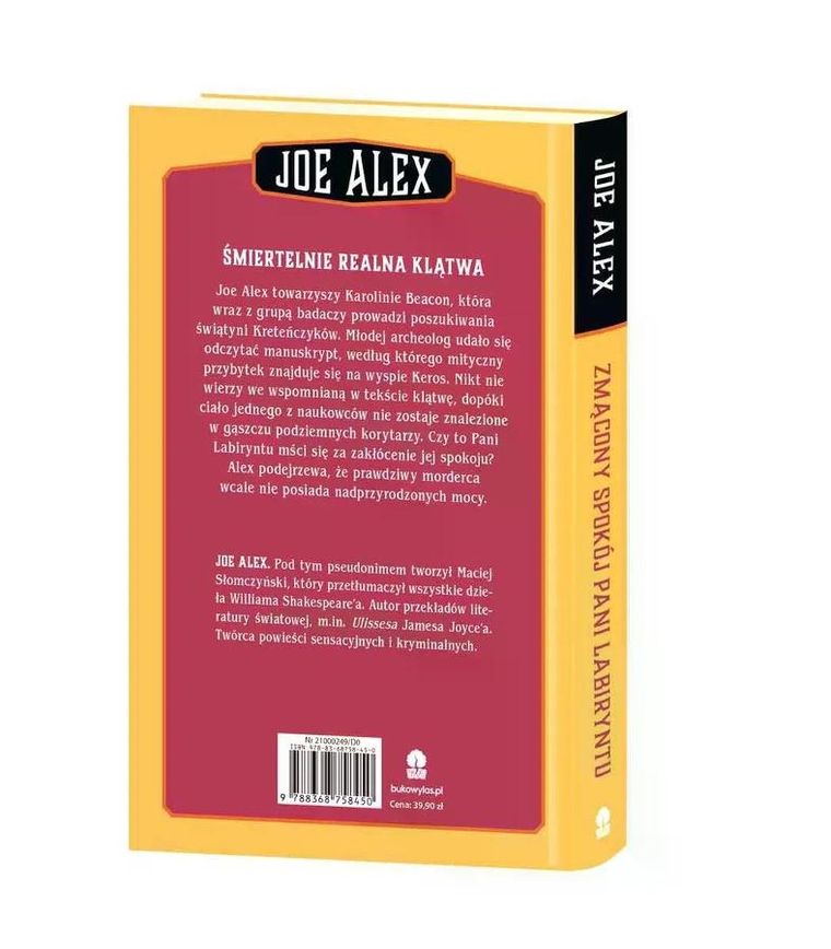 Zmącony spokój Pani Labiryntu