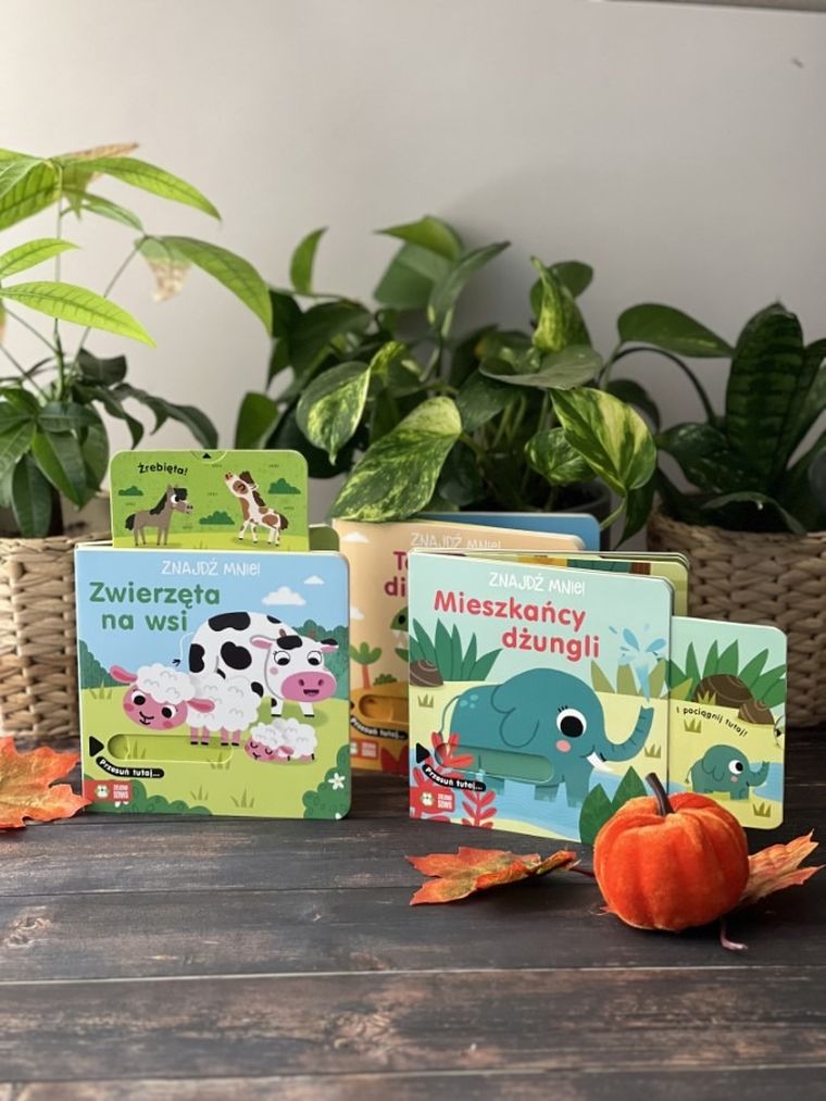 Znajdź mnie! Zwierzęta na wsi