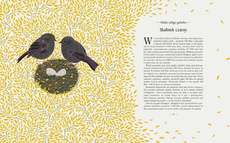 Znikające królestwo. Przewodnik po świecie