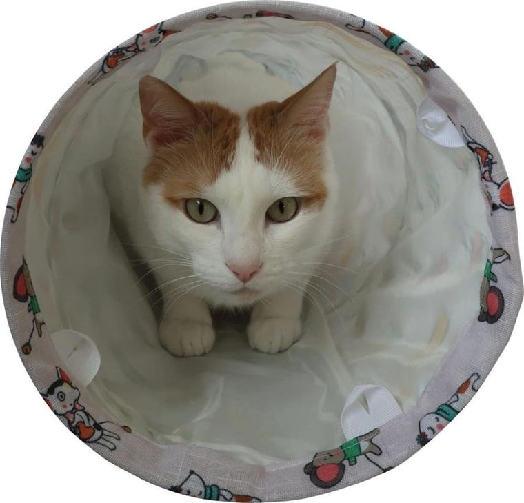 Zolux, Chatouille, zabawka dla kota tunel, koty i myszy, 100 cm