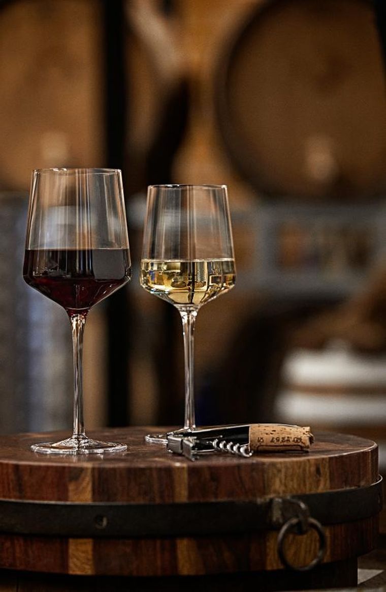 Zone Denmark, Rocks, kieliszek do białego wina, 300 ml, 2 szt.