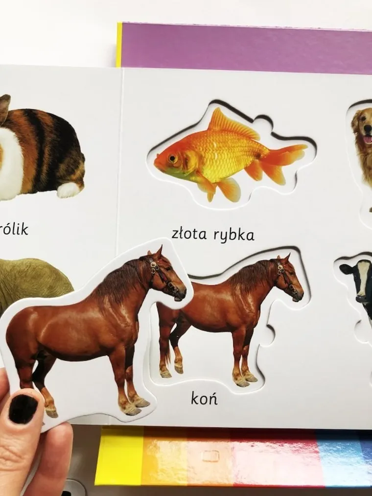 Zwierzęta. Akademia mądrego dziecka. Kolorowy świat malucha