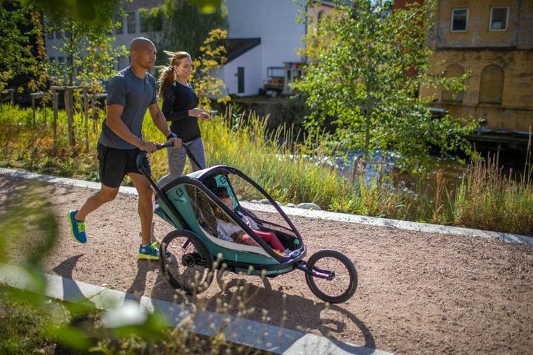 Hamax, Cocoon, przyczepka rowerowa, podwójna, Green/Black