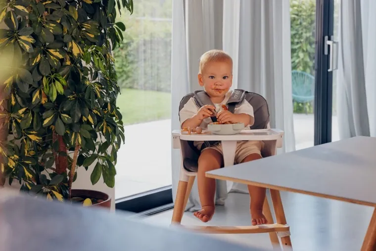 Lionelo, Babymenu, wielofunkcyjny robot do gotowania 5w1