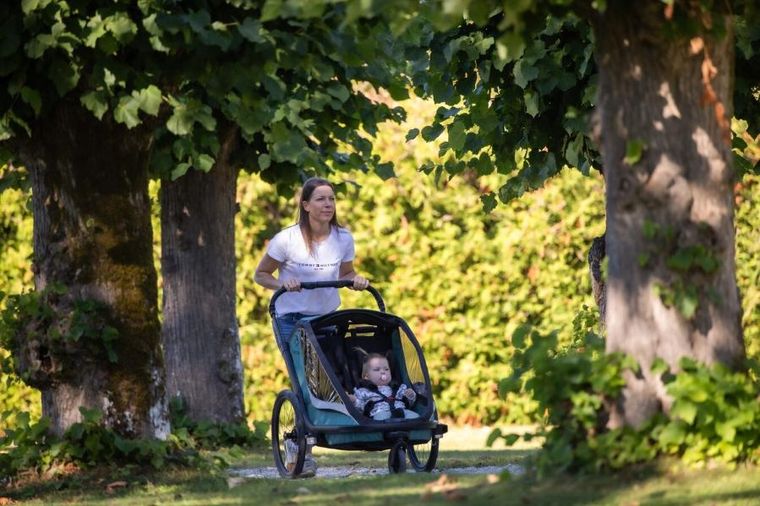 Hamax, Cocoon, przyczepka rowerowa, podwójna, Green/Black