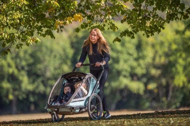 Hamax, Cocoon, przyczepka rowerowa, podwójna, Green/Black