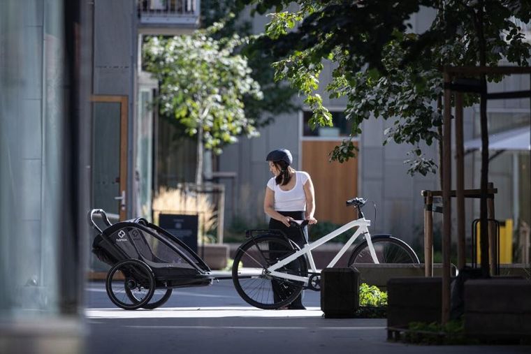 Hamax, Cocoon, przyczepka rowerowa, podwójna, Grey/Black