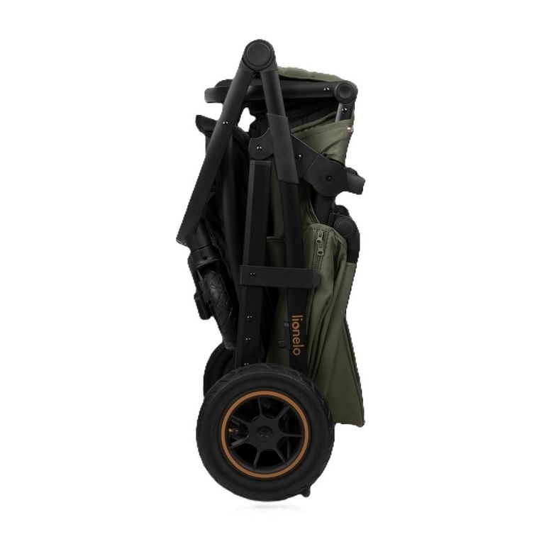 Lionelo, Amber Plus, wózek wielofunkcyjny 2w1, Green Forest