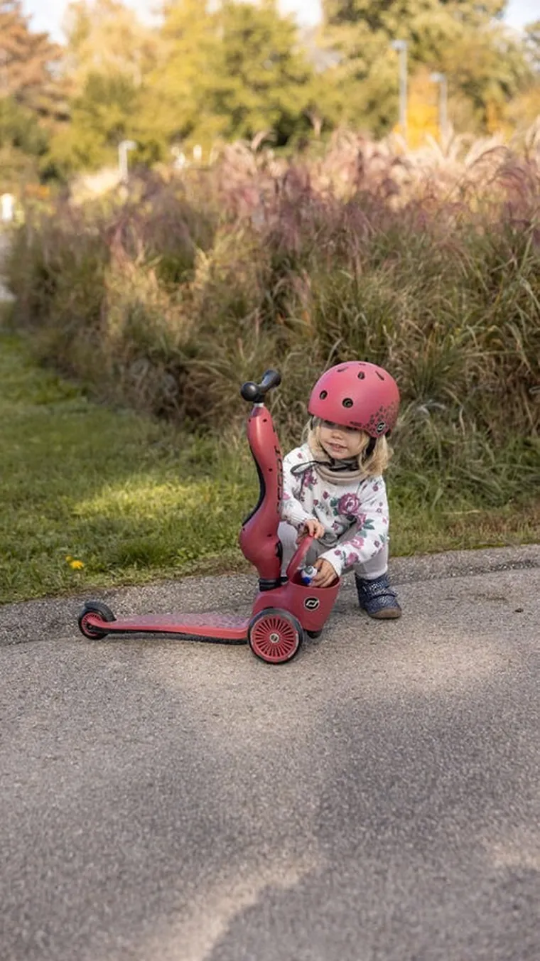 Scoot & Ride, Highwaykick 1, Lifestyle, jeździk i hulajnoga 2w1, Wildcat