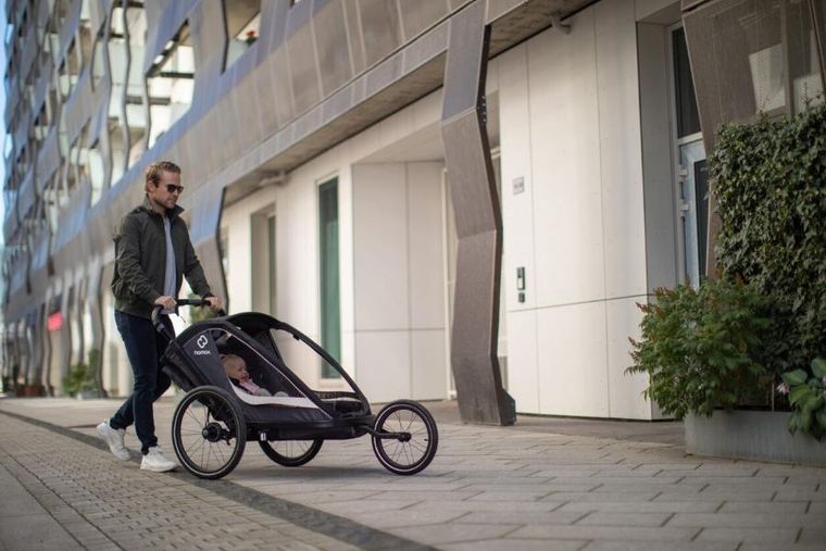 Hamax, Cocoon, przyczepka rowerowa, podwójna, Grey/Black