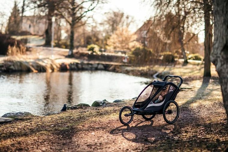 Hamax, Cocoon One, przyczepka rowerowa, grey/black