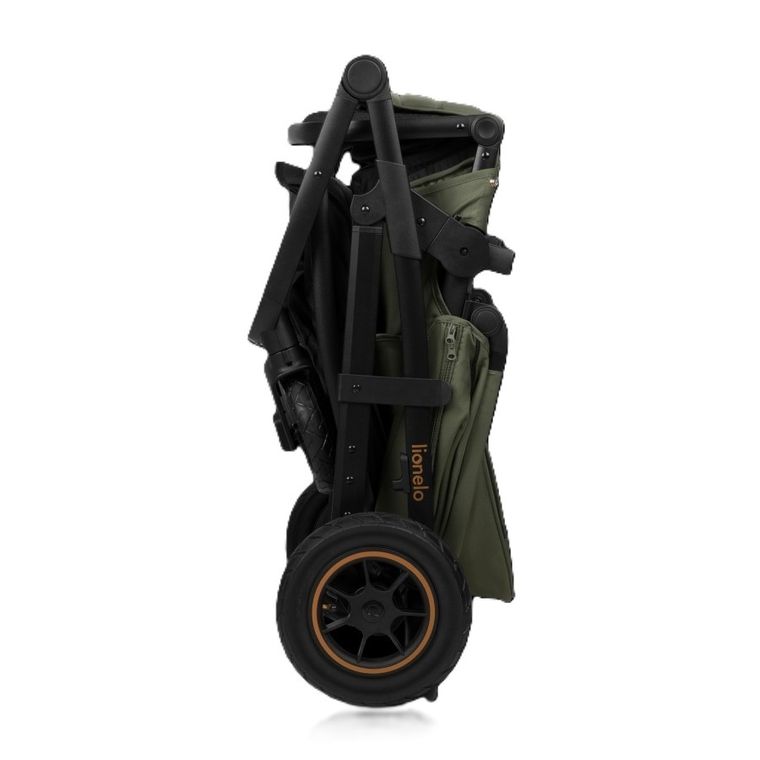 Lionelo, Amber Plus, wózek wielofunkcyjny 3w1, Green Forest