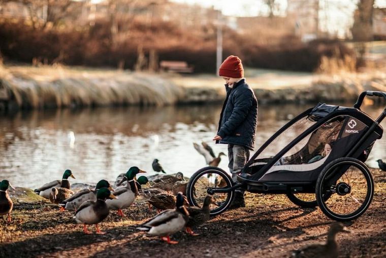 Hamax, Cocoon, przyczepka rowerowa, podwójna, Grey/Black